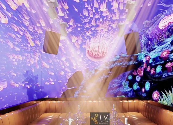 Thiết Kế Phòng Karaoke VIP Concept Linh Hoạt Full LED 5D Tại TP.HCM